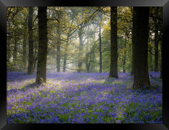 Blicking, Norfolk Framed Print by Rick Bowden