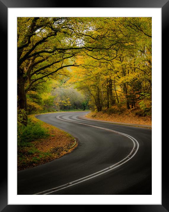 Golden Journey through Autumn Woods Framed Mounted Print by Rick Bowden