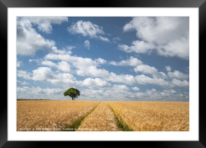 Summer Field and Tree Framed Mounted Print by Rick Bowden
