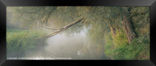Fallen over the Wensum. Framed Print by Rick Bowden