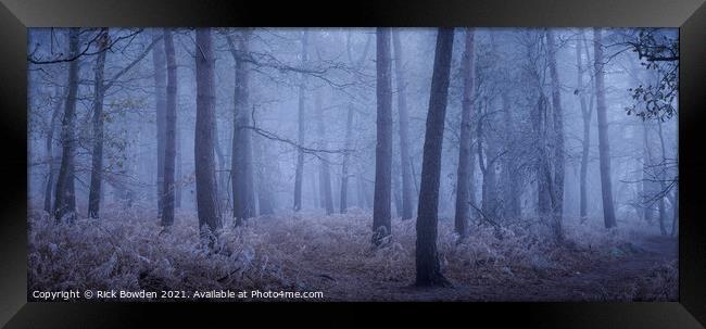 Enchanting Winter Wonderland Framed Print by Rick Bowden