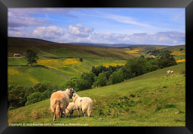 Swaledale Yorkshire Dales Framed Print by Rick Bowden
