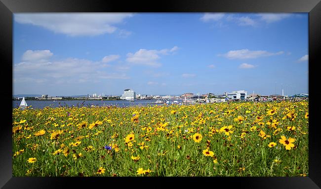  Cardiff Bay, Wales with flowers in foreground Framed Print by Jonathan Evans