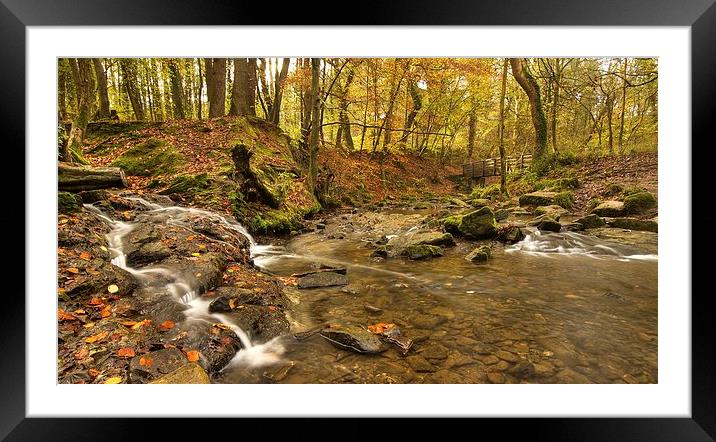 Wepre Park Autumn 2014 Framed Mounted Print by Rob Pitt