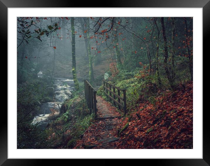 whyming brook Framed Mounted Print by Jason Thompson