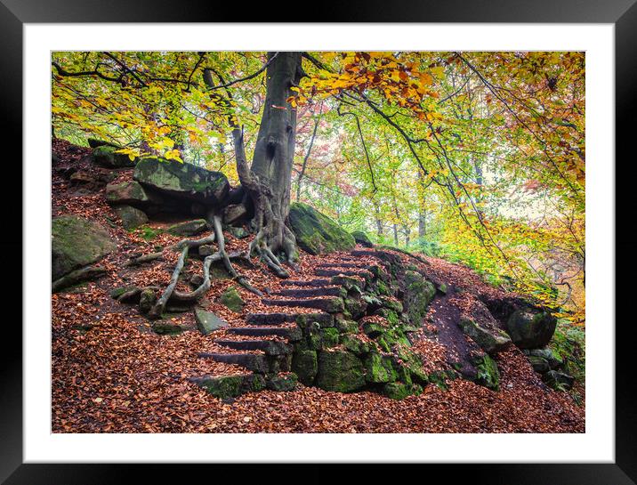 autumn in Padley Gorge  Framed Mounted Print by Jason Thompson