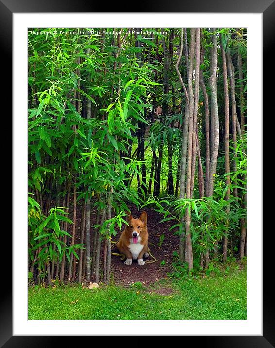 Adorable Dog Waiting for its Owner  Framed Mounted Print by Jeanne Ong