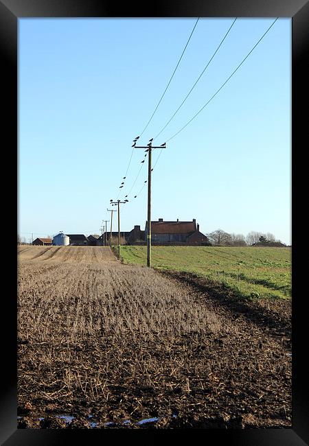  I've got the power Framed Print by Darryl Hopkins