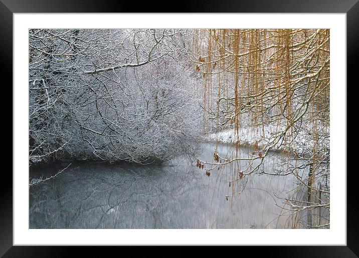  The frozen peace Framed Mounted Print by Ross Lawford