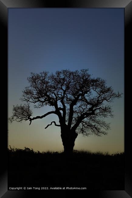 Last light  Framed Print by Iain Tong