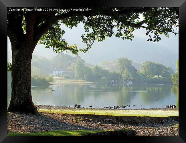 Framed shoreline Framed Print by Susan Tinsley