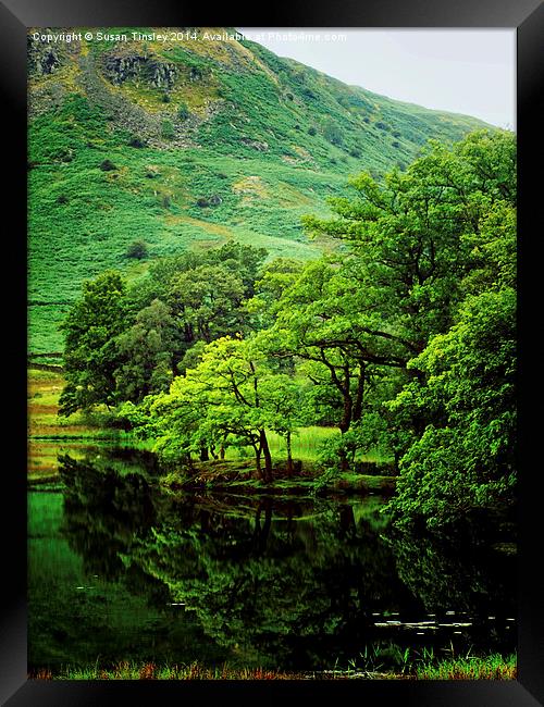 Shades of green Framed Print by Susan Tinsley