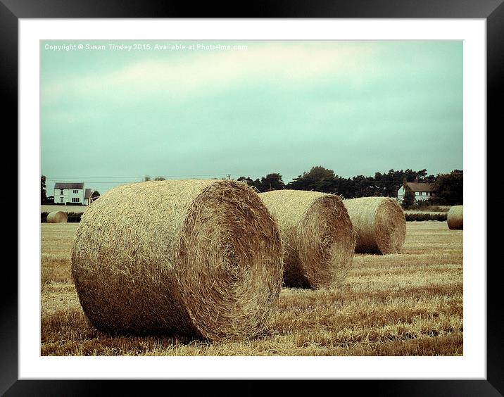 Bales of hay Framed Mounted Print by Susan Tinsley