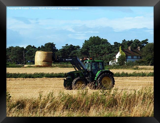 Stacking bales Framed Print by Susan Tinsley