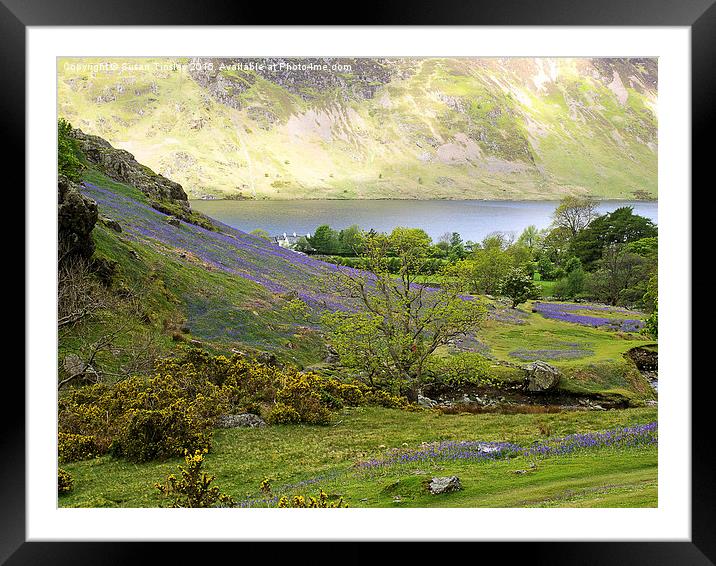 Spring at Rannerdale Framed Mounted Print by Susan Tinsley
