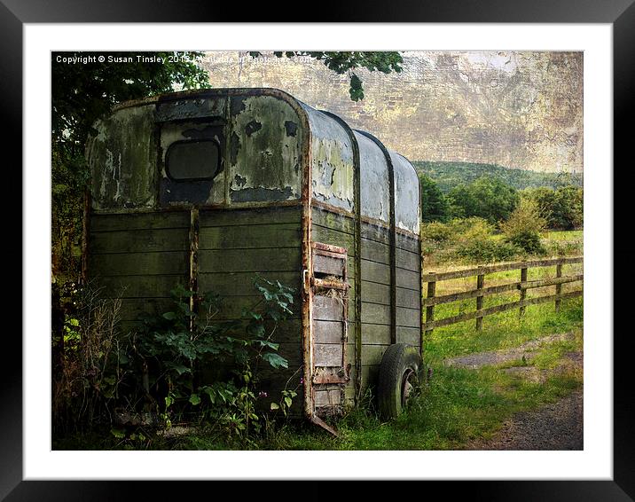 Neglected horse box Framed Mounted Print by Susan Tinsley