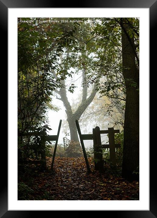 Fairy Glen exit Framed Mounted Print by Susan Tinsley