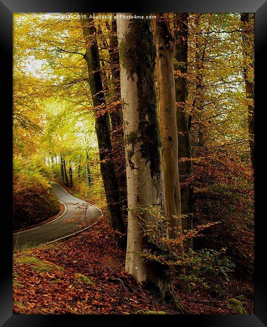  Autumn Leaves  Framed Print by Simon Rees