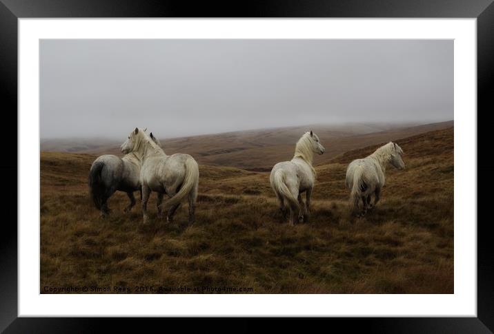 Wild horses in Brecon Beacons National Park  Framed Mounted Print by Simon Rees