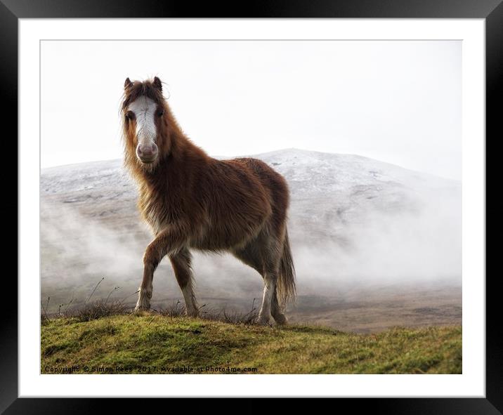 Welsh Mountain Pony in the Brecon Beacons National Framed Mounted Print by Simon Rees