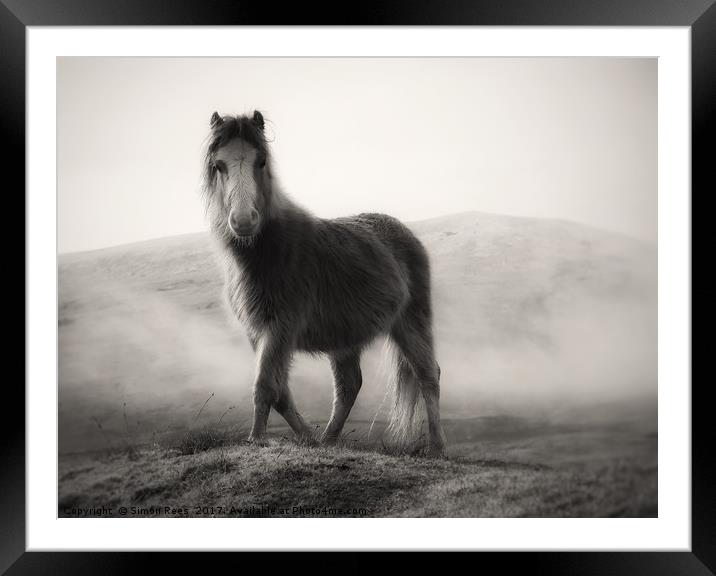 Wild Pony Portrait Framed Mounted Print by Simon Rees