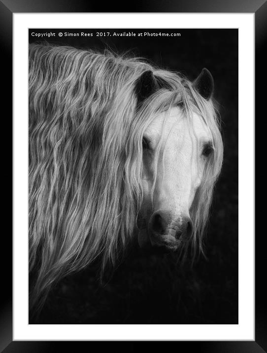 Wild Beauty Framed Mounted Print by Simon Rees