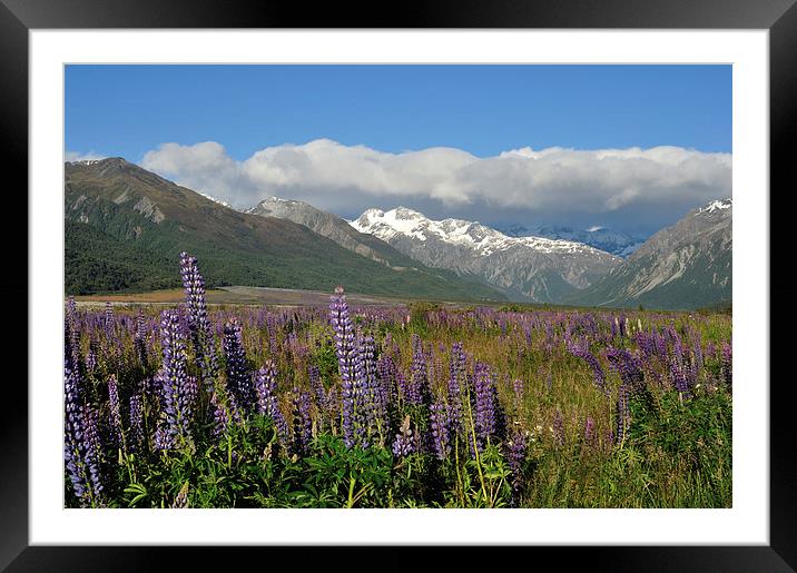 Waimakariri Valley in Summer Framed Mounted Print by Peter Righteous