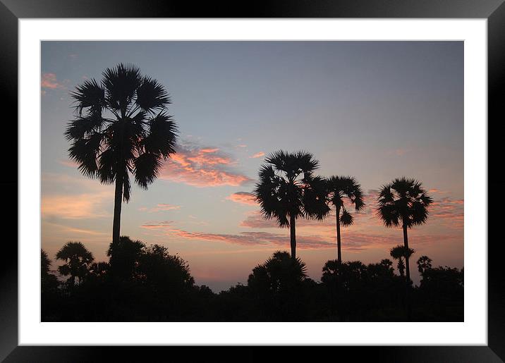 tropical sunrise Framed Mounted Print by Peter Righteous