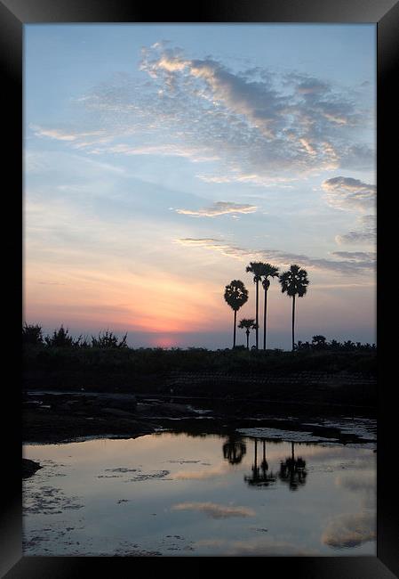 tropical sunrise Framed Print by Peter Righteous