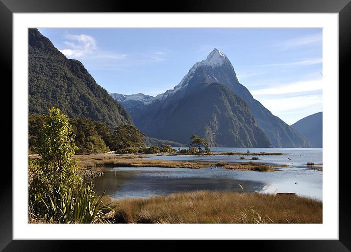 Mitre Peak, Milford Sound Framed Mounted Print by Peter Righteous