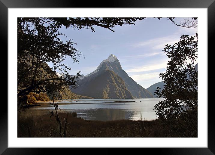 Mitre Peak, Milford Sound Framed Mounted Print by Peter Righteous
