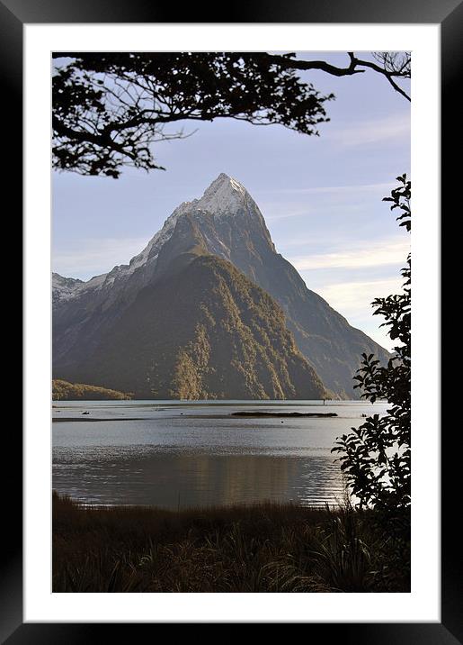 Mitre Peak, Milford Sound Framed Mounted Print by Peter Righteous