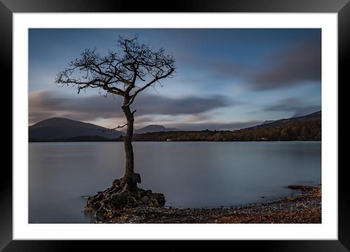 Lone Tree Framed Mounted Print by Alan Sinclair
