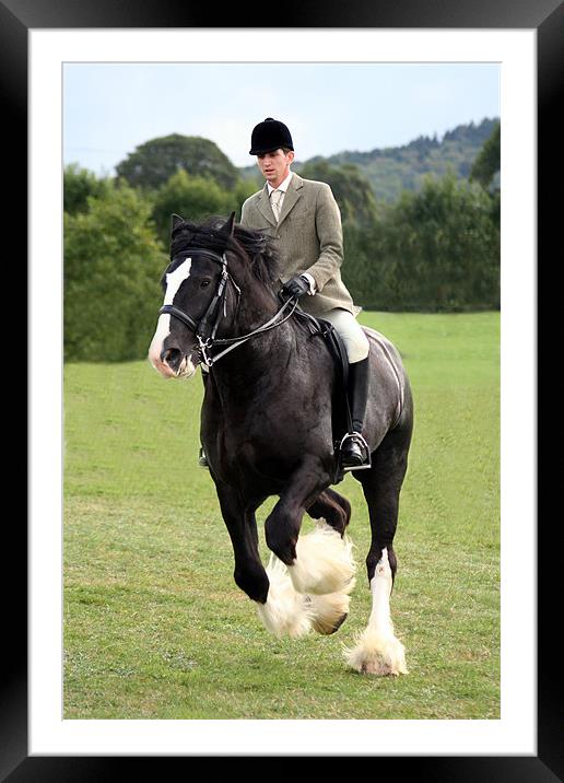 Shire Horse doing Dressage Framed Mounted Print by Christopher Grant