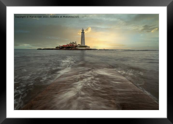 St Mary's Lighthouse Framed Mounted Print by Marcia Reay