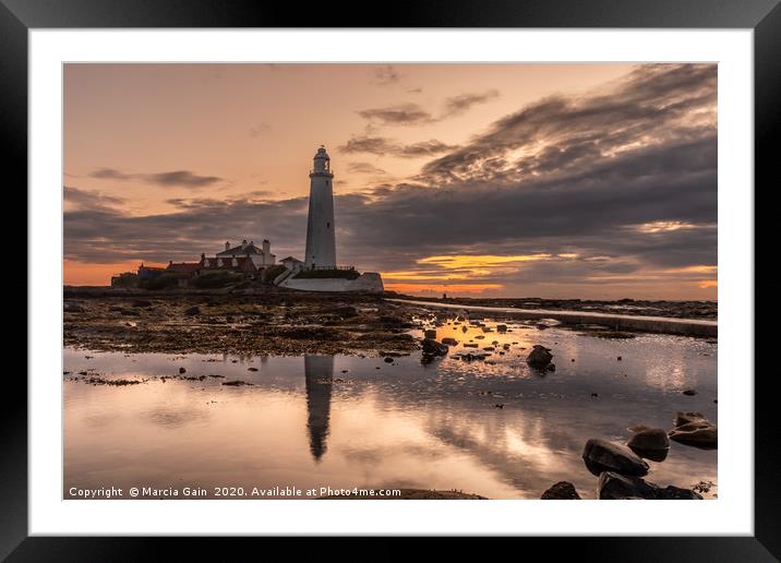Sunrise at St Mary's Lighthouse Framed Mounted Print by Marcia Reay