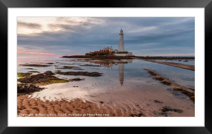 St Mary's Lighthouse at sunrise Framed Mounted Print by Marcia Reay