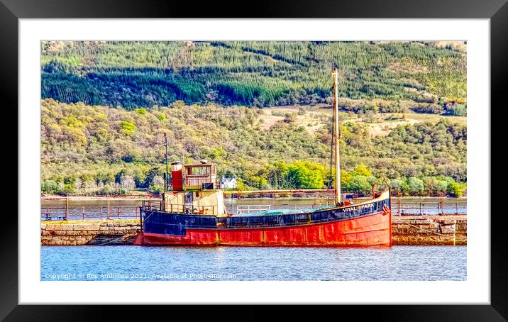 Vital Spark Framed Mounted Print by Ros Ambrose