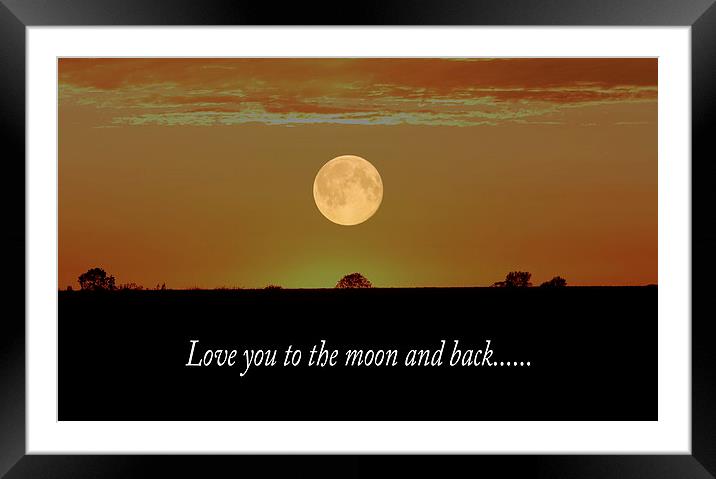 Love You To The Moon And Back  Framed Mounted Print by Ros Ambrose