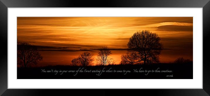 AA Milne Winnie The Pooh Forest Quote Framed Mounted Print by Ros Ambrose