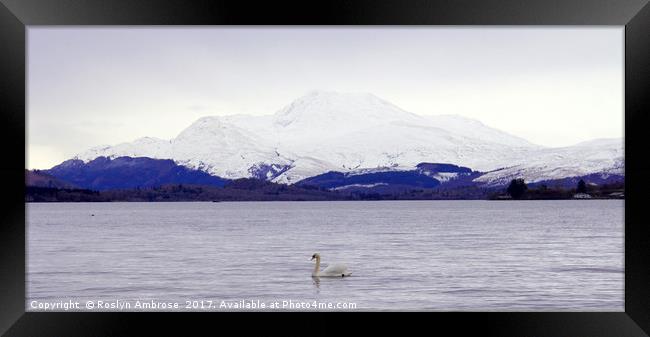 Beauty and The Beast Framed Print by Ros Ambrose