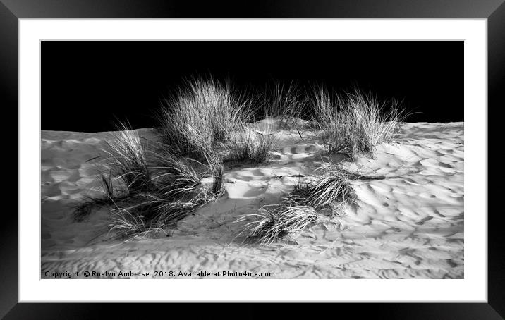 Beachgrass  Framed Mounted Print by Ros Ambrose