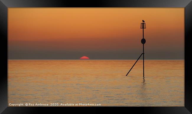 At The End Of The Day Framed Print by Ros Ambrose