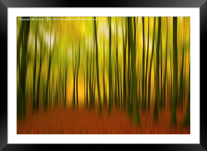 A falling breeze, walking through the fall colors Framed Mounted Print by James Tully