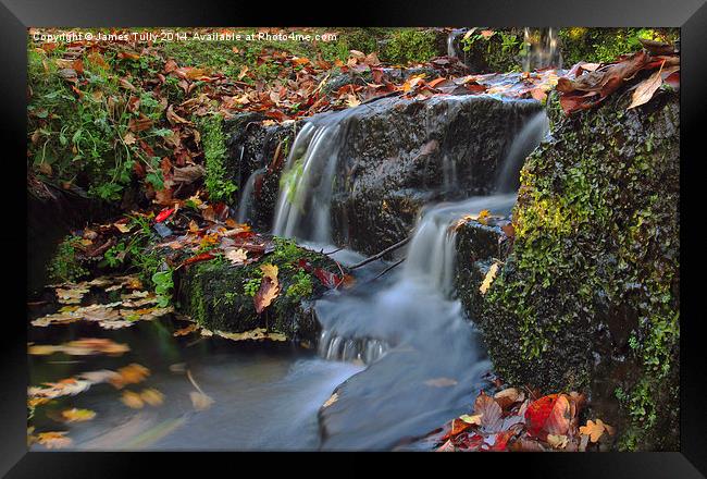  Fall waters, autumn leaves swirl in this pictures Framed Print by James Tully