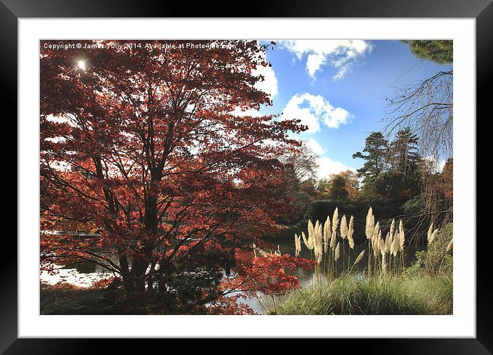  This autumn lake looks great  Framed Mounted Print by James Tully