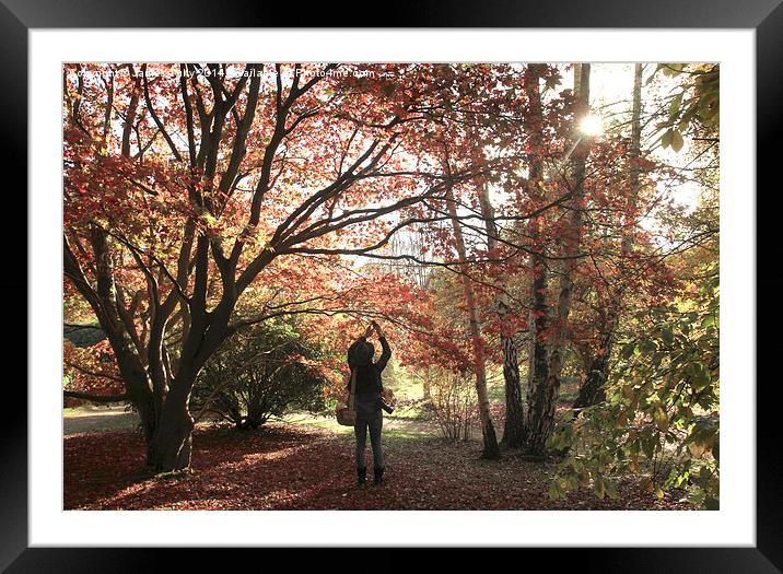  Take two, capturing the perfect autumn moment Framed Mounted Print by James Tully