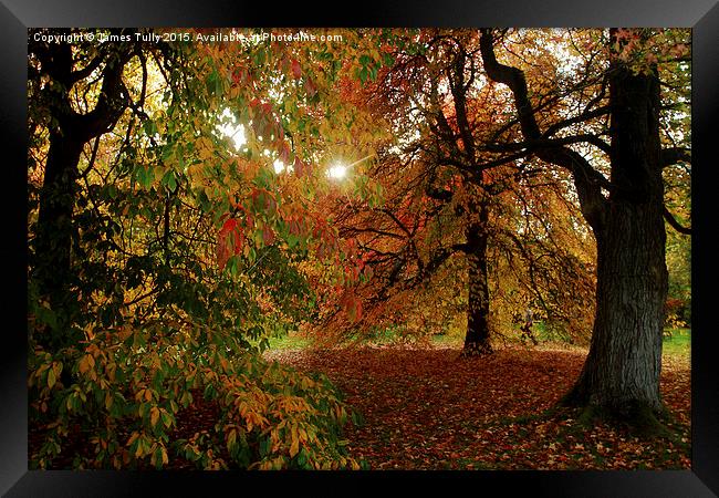  Autumn sun Framed Print by James Tully
