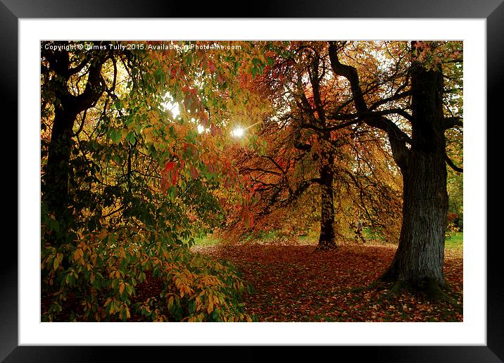  Autumn sun Framed Mounted Print by James Tully