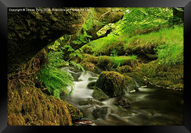  Exmoor stream Framed Print by James Tully